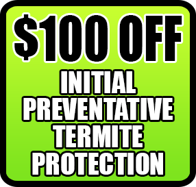 Coupon for $100 Off Initial Preventative Termite Protection