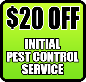 Coupon for $20 Off Initial Pest Control Service