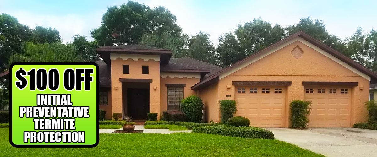 $100 Off Initial Preventative Termite Protection