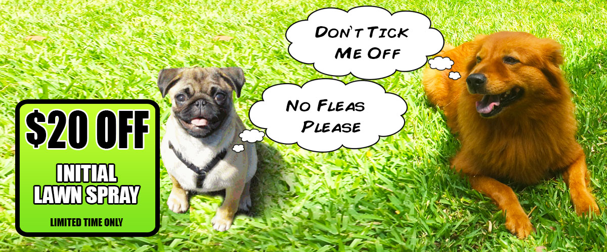 No Flease, Please - $20 Off Initial Lawn Spray