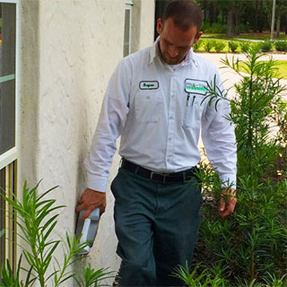 Termite Control