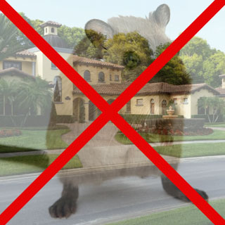 Rodent Control