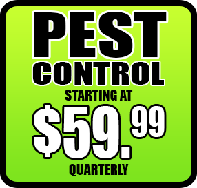 Coupon for Quarterly Pest Control Services Starting at $59.99